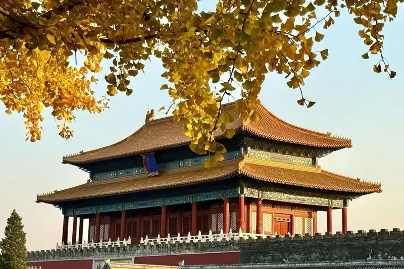 Autumn ginkgo leaves against a roof